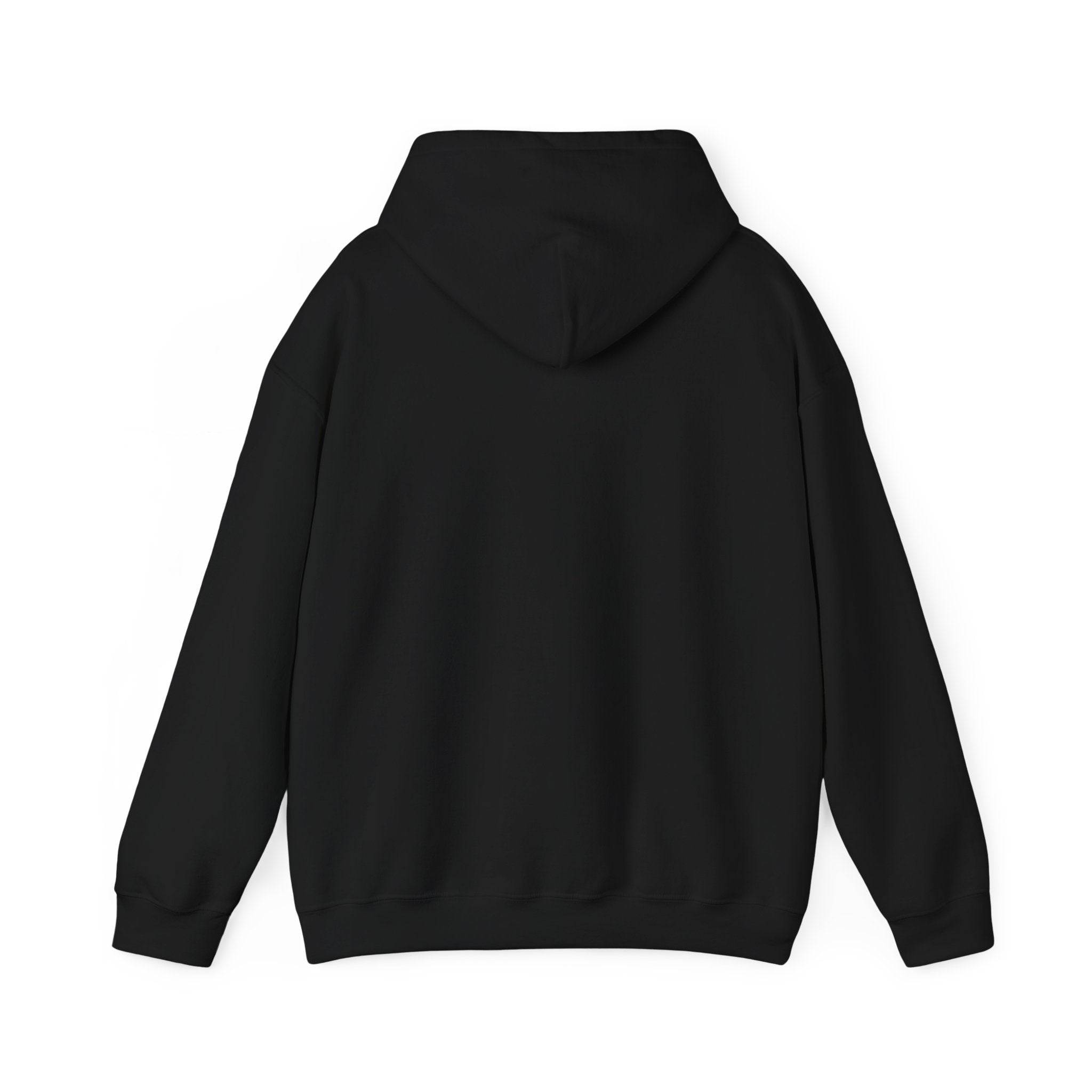 Micheal van Gerwen Heavy Blend Hoodie