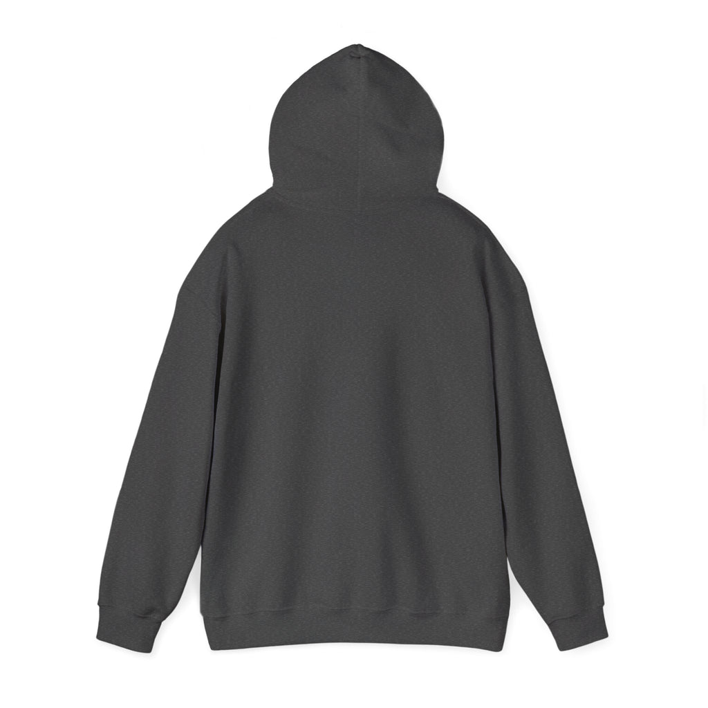 Micheal van Gerwen Heavy Blend Hoodie