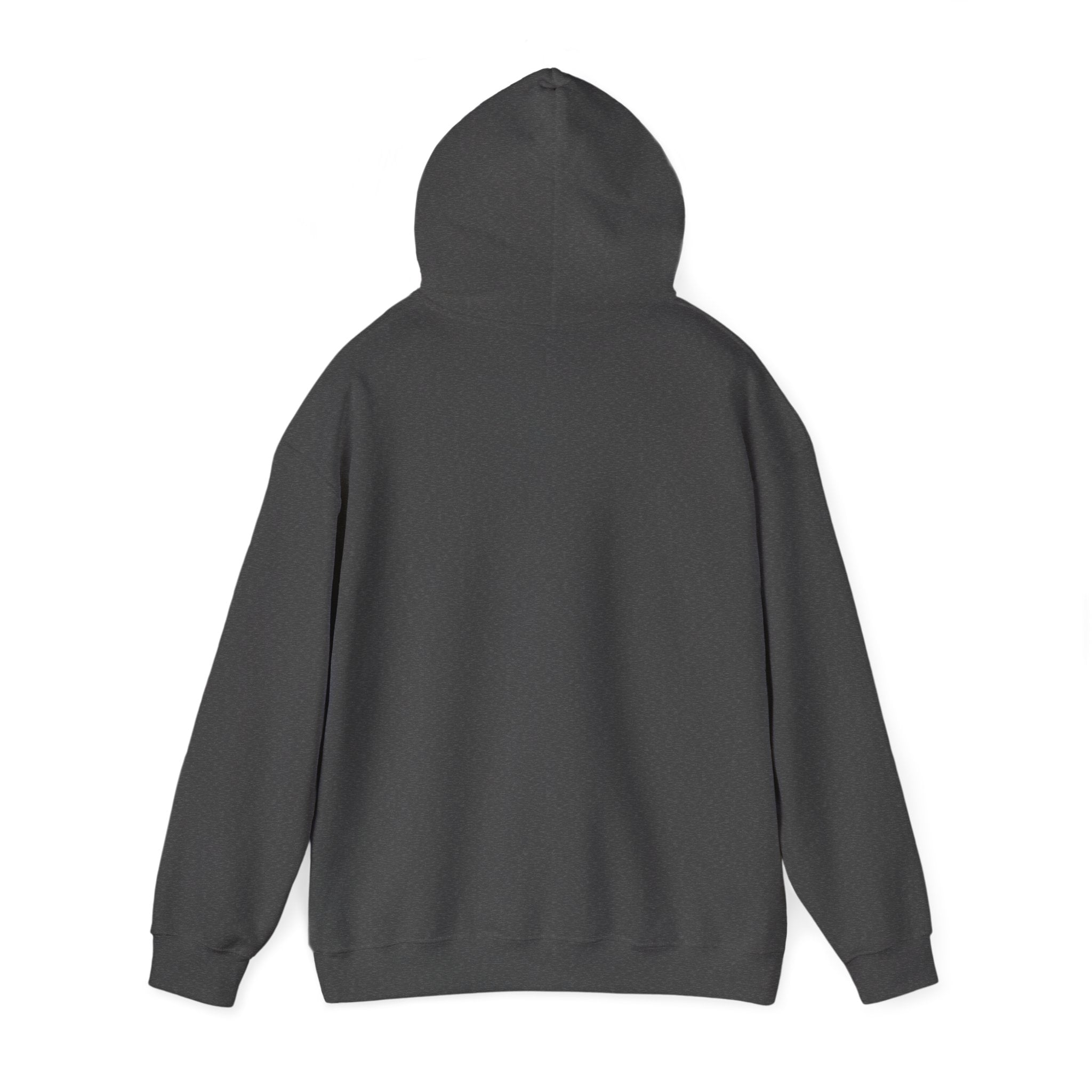 Micheal van Gerwen Heavy Blend Hoodie